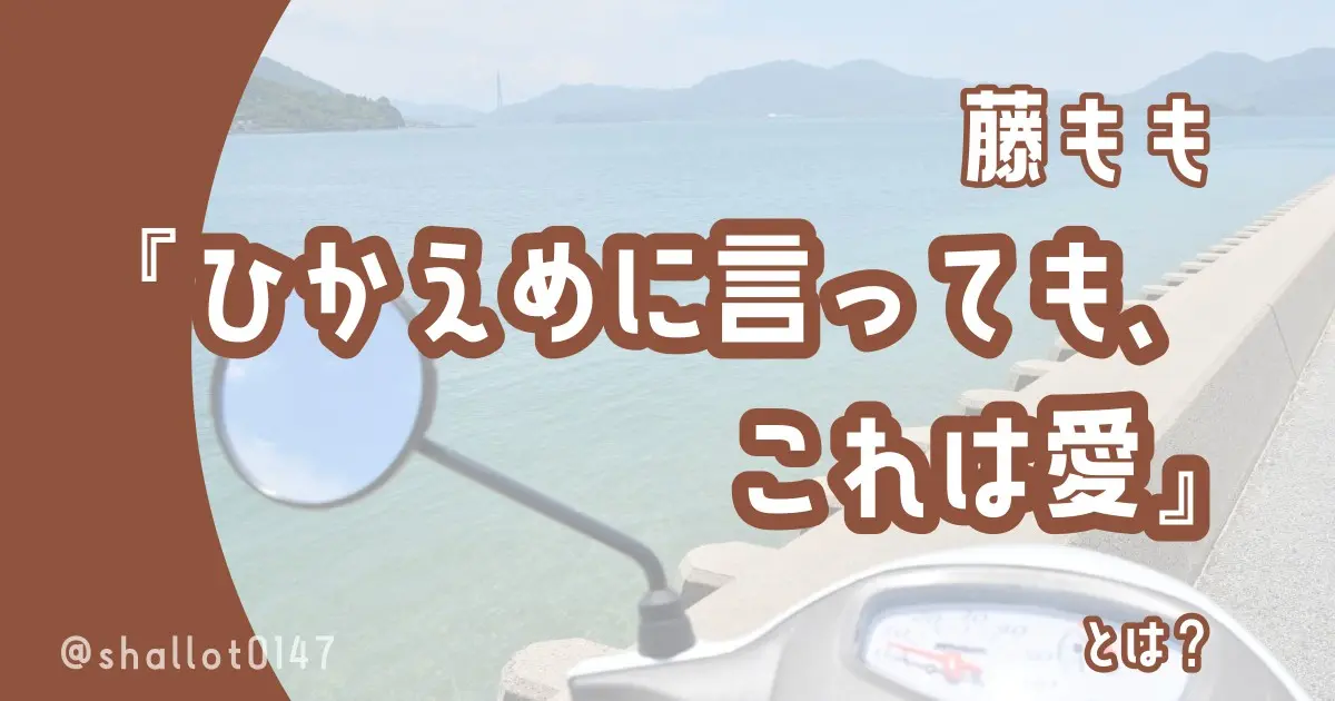 藤もも『ひかえめに言っても、これは愛』とは？