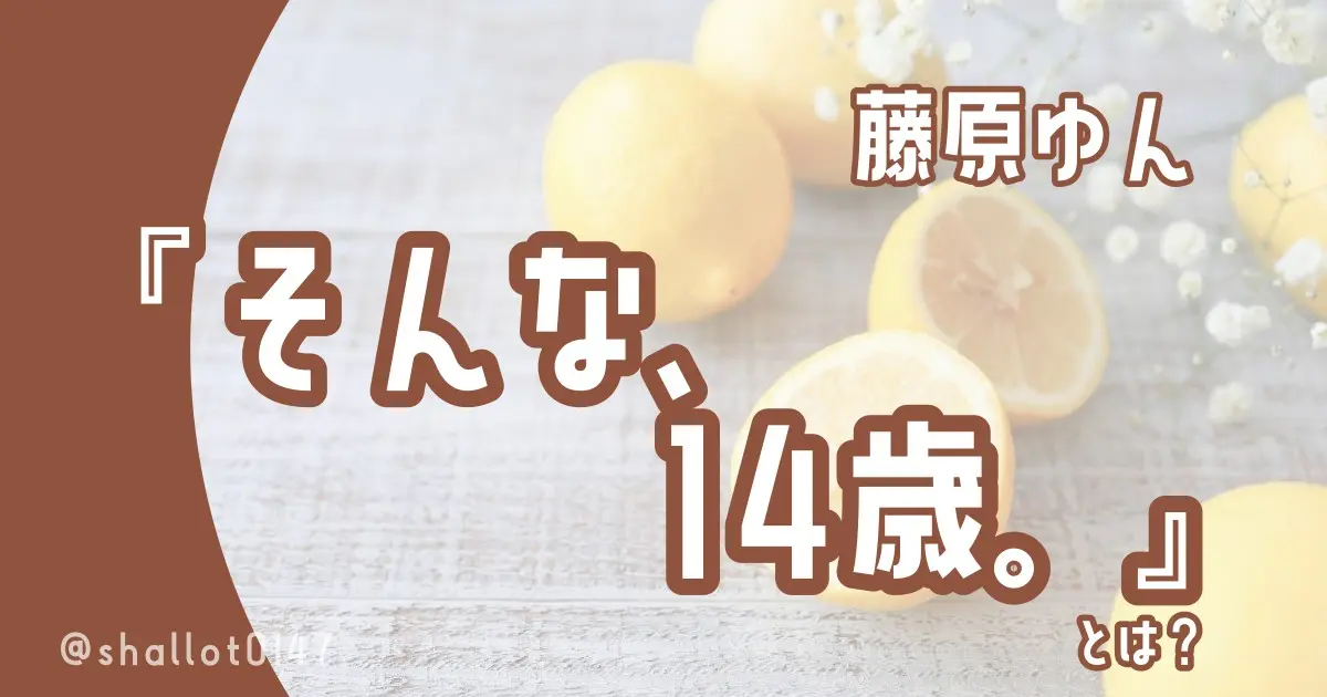 藤原ゆん『そんな、14歳。』とは？